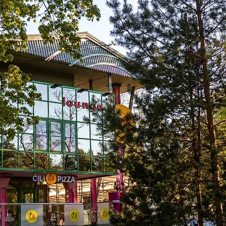 Basanaviciaus G. 45 ホテル