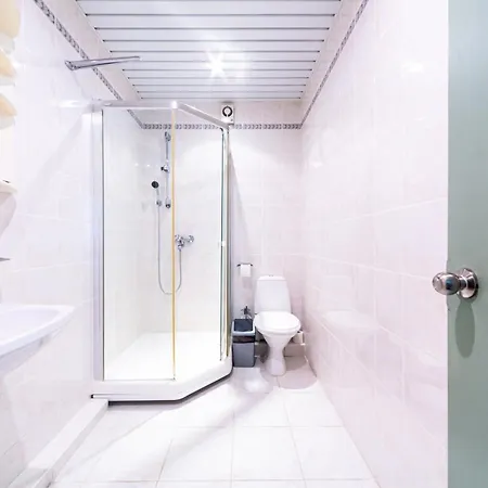 Basanaviciaus G. 45 ホテル *