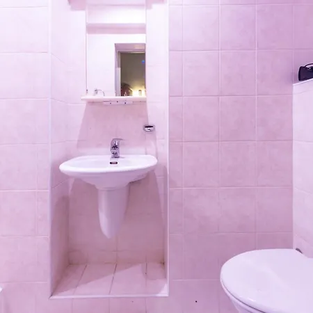 ホテル Basanaviciaus G. 45 パランガ