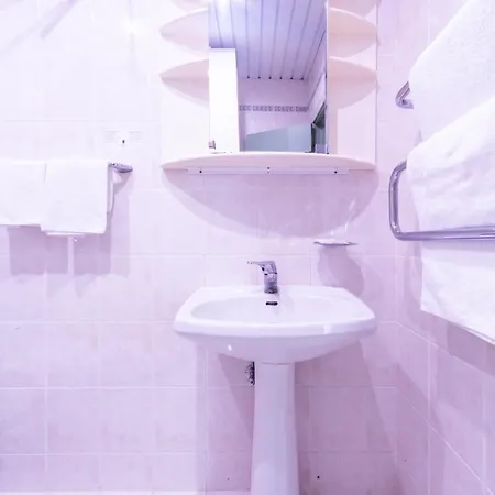 Basanaviciaus G. 45 ホテル