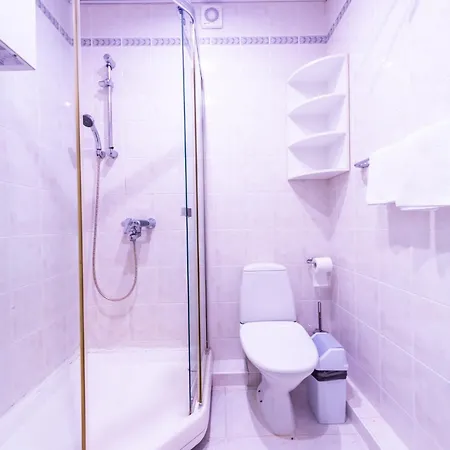 Basanaviciaus G. 45 ホテル *