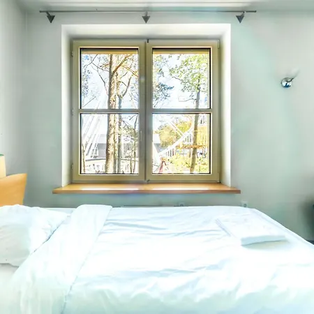 ホテル Basanaviciaus G. 45 パランガ