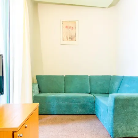 ホテル Basanaviciaus G. 45 *