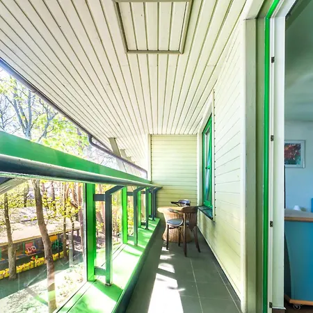 ホテル Basanaviciaus G. 45 パランガ