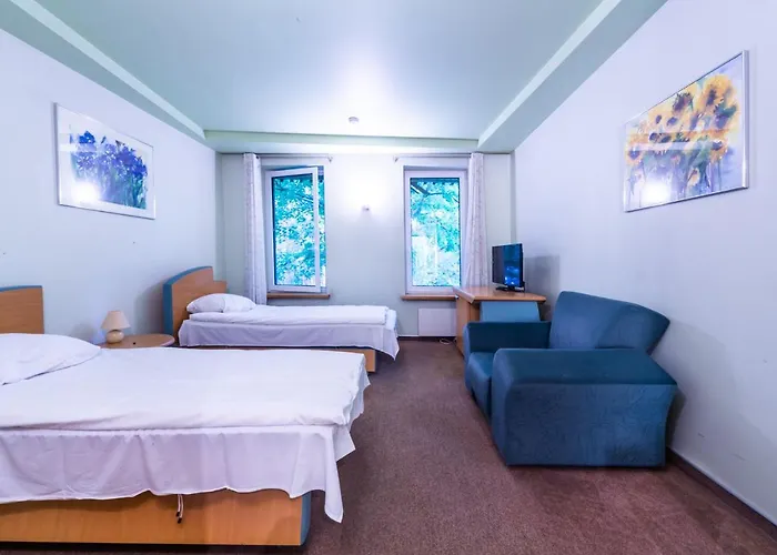 Hotel Basanaviciaus G. 45