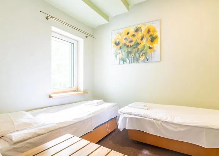 Hotel Basanaviciaus G. 45