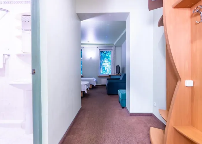 Hotel Basanaviciaus G. 45